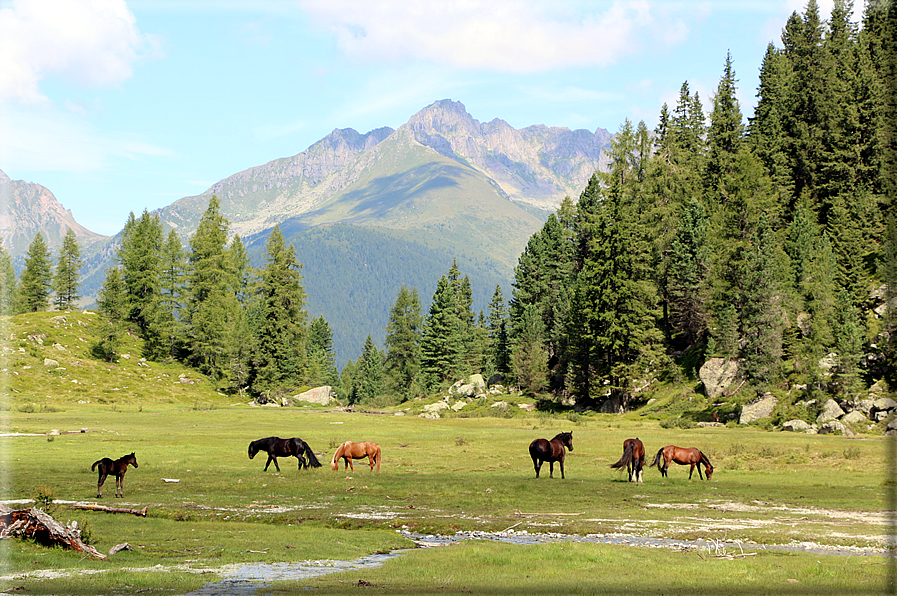 foto Forcella delle Tavarade